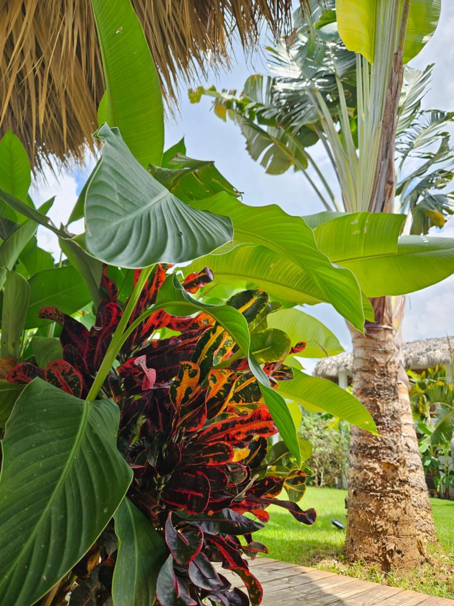 Casa Shambala B&B Las Terrenas Dış mekan fotoğraf